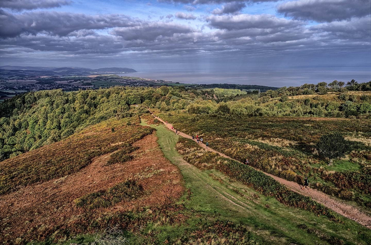 Quantock Hills Trail Half Marathon!